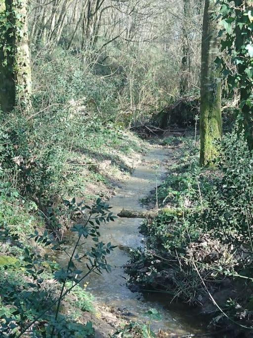 Location Meublee Au Milieu D'Un Ecrin De Verdure Aux Vieux Fours Noaillac Buitenkant foto