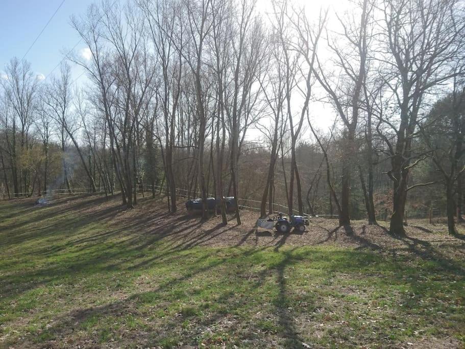Location Meublee Au Milieu D'Un Ecrin De Verdure Aux Vieux Fours Noaillac Buitenkant foto