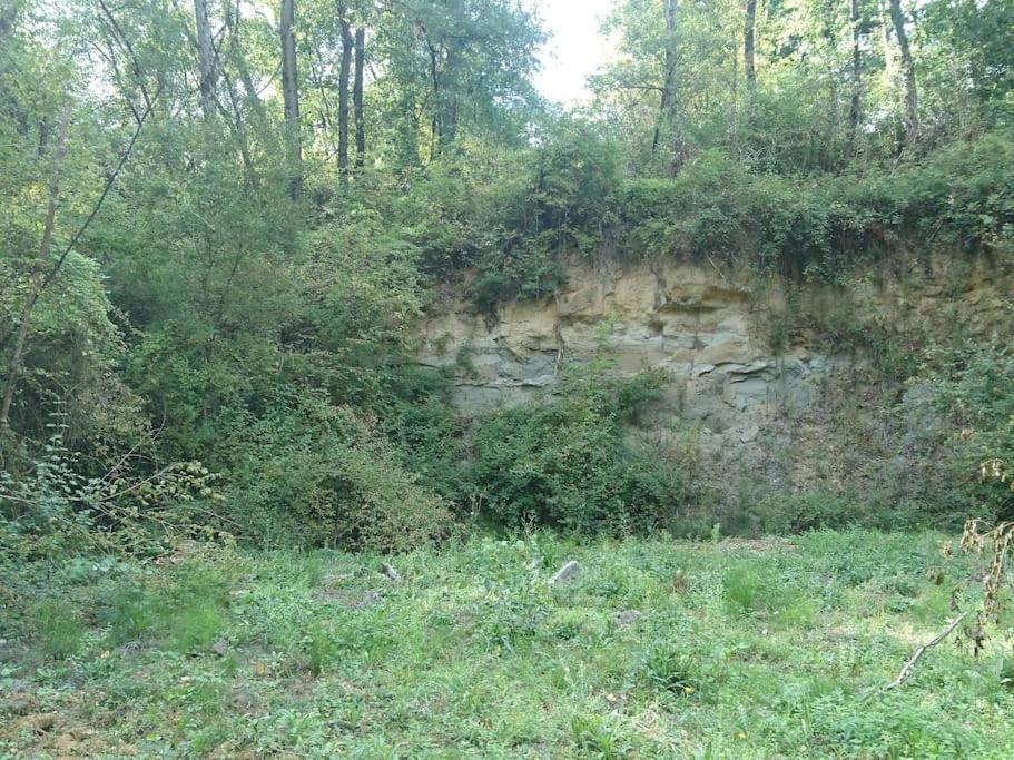 Location Meublee Au Milieu D'Un Ecrin De Verdure Aux Vieux Fours Noaillac Buitenkant foto